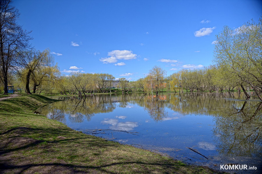  В центральном парке Бобруйска озера вновь стали полноводными