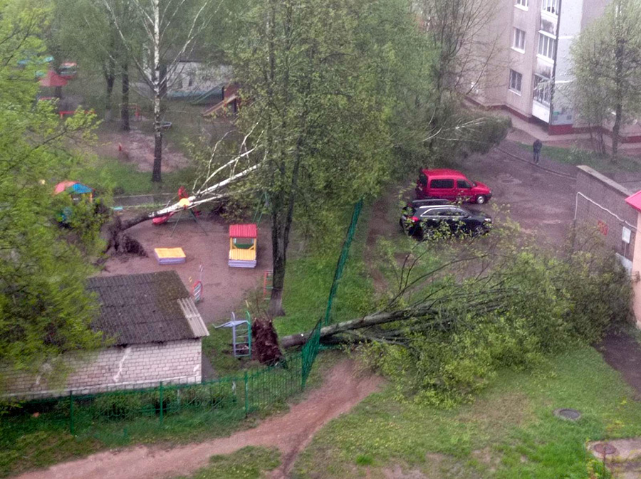 150 поваленных деревьев и другие последствия стихии в Бобруйске (добавлен комментарий МЧС)