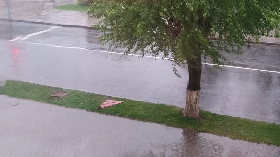 В Бобруйске разгул стихии: ветер повалил деревья, порвал провода