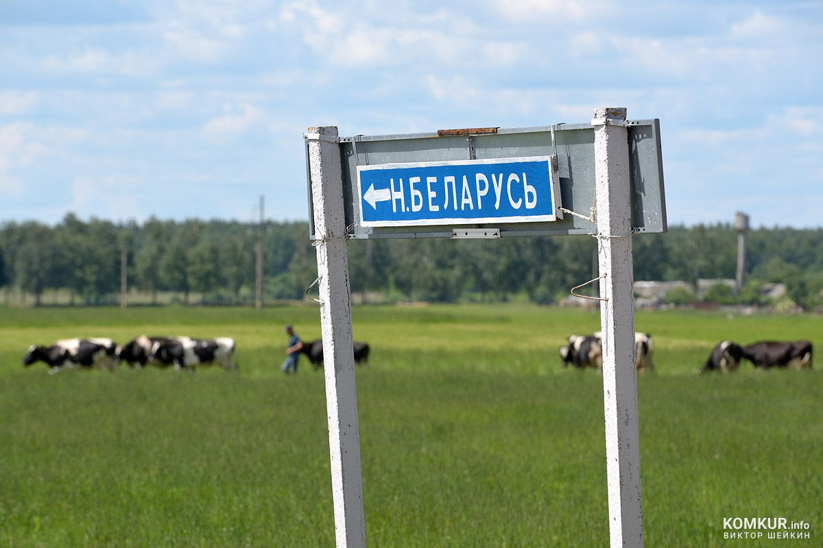 Субботняя прогулка по окрестностям Бобруйщины. Фоторепортаж