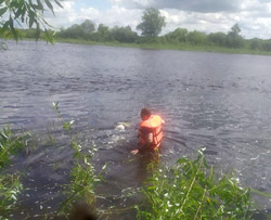В Бобруйске в Березине утонул мужчина