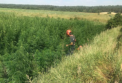 Специальная программа «Мак» пройдет в Бобруйске