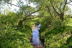 «На дне нашли прицеп». Как под Бобруйском останавливают реки
