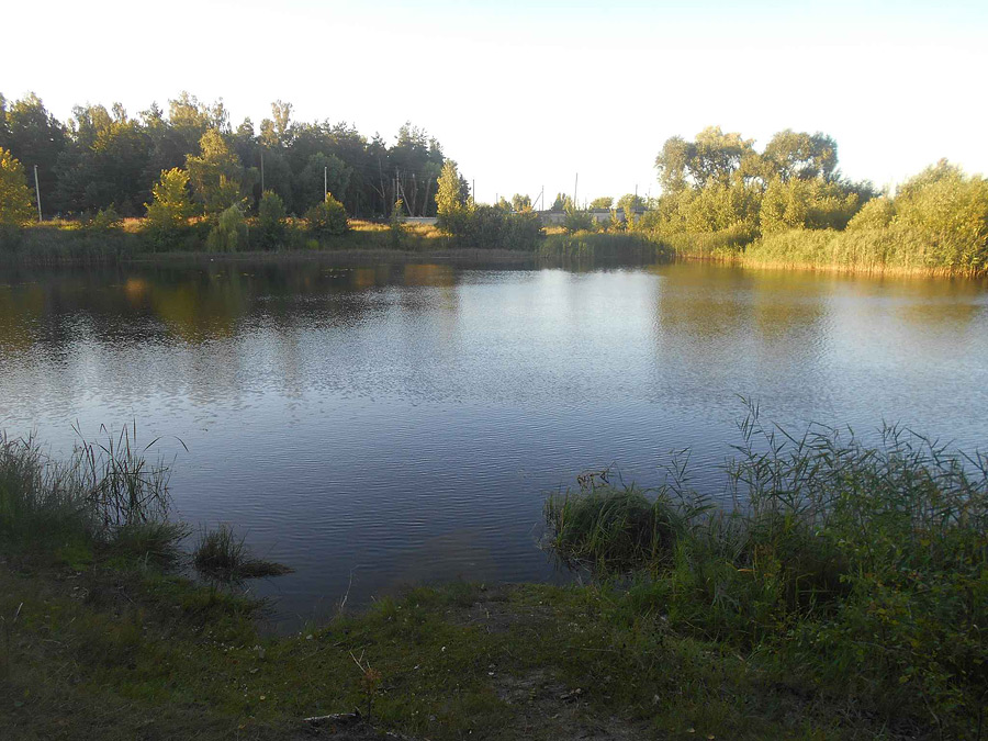 В Бобруйске в озере на Форштадте утонула женщина