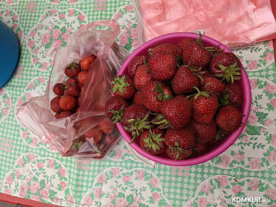 Сколько денег брать на рынок в Бобруйске