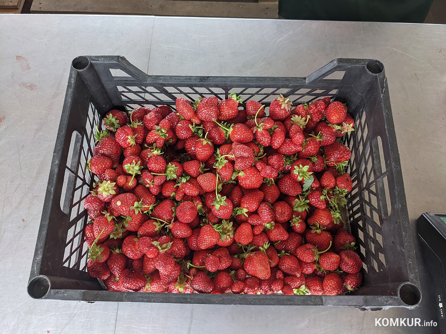 Сколько денег брать на рынок в Бобруйске