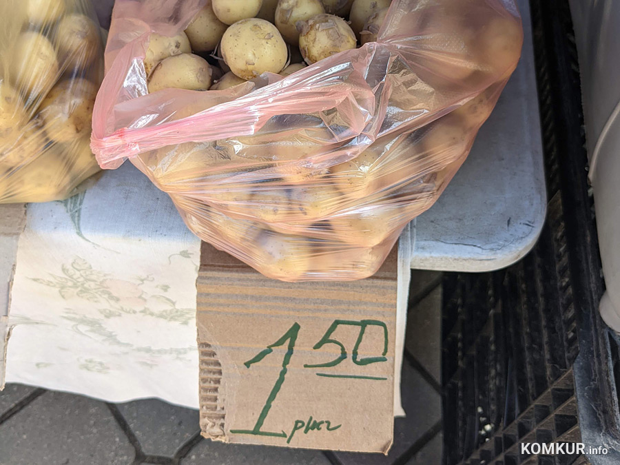 Сколько денег брать на рынок в Бобруйске