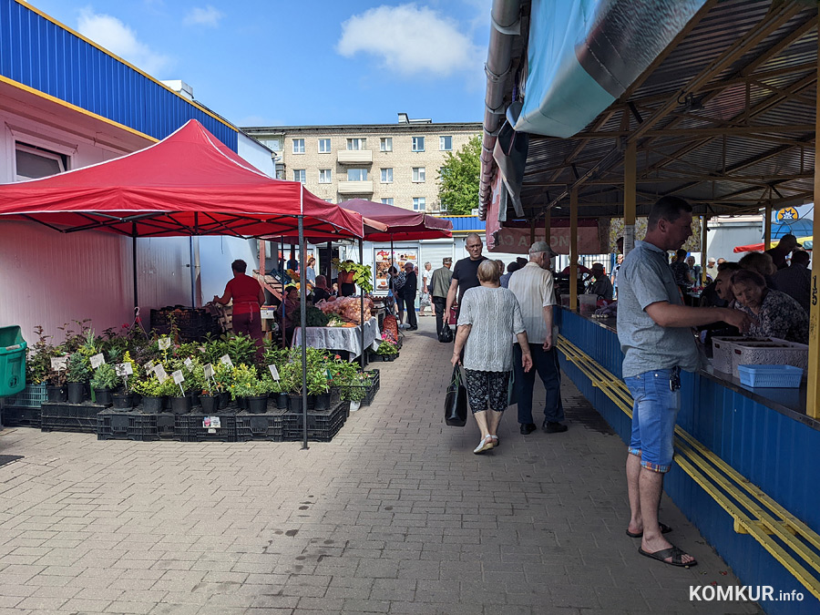 Сколько денег брать на рынок в Бобруйске