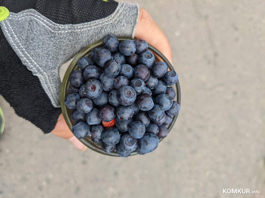 Сколько денег брать на рынок в Бобруйске