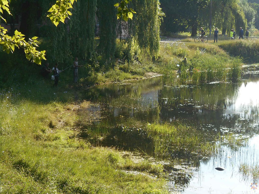 8 июля в 7.45 спасателям поступило сообщение о том, что в озере Шаманка в Бобруйске тонет мужчина.