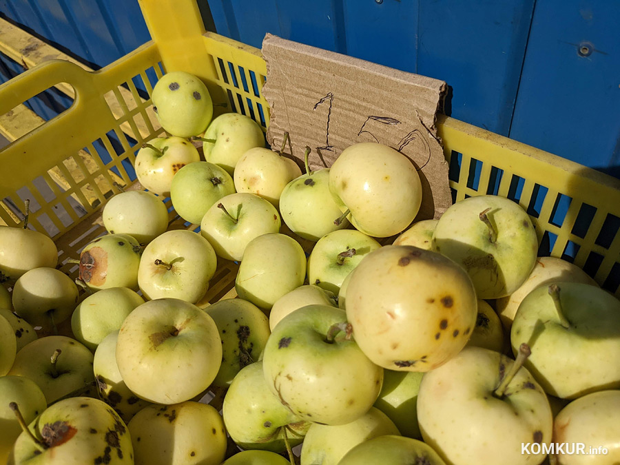 Помидорный демпинг и яблочное изобилие: что почем на рынках Бобруйска