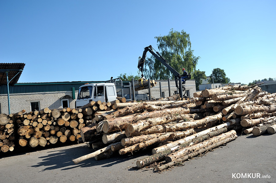 Годовой план почти выполнен. Почему в Бобруйске так вырос спрос на дрова?