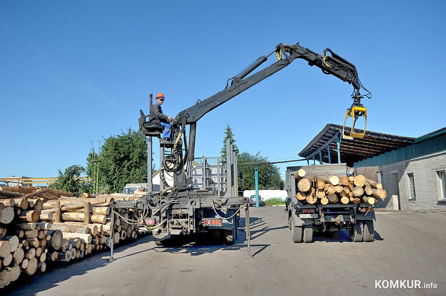 Годовой план почти выполнен. Почему в Бобруйске так вырос спрос на дрова?