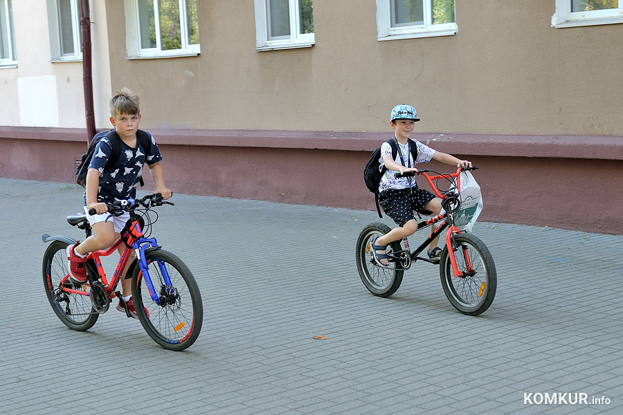 Велосипед или электросамокат: что лучше для Бобруйска?