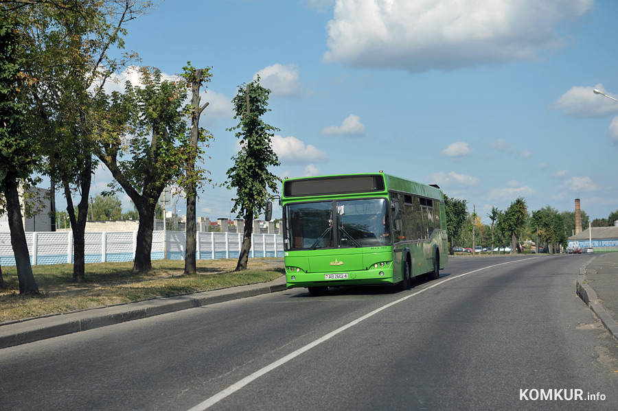 Автобус «Бобруйск – Туголица» два дня будет ходить иначе
