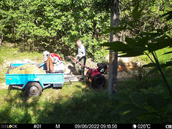 Как фотоловушки следят за чистотой и порядком в лесах Бобруйского района