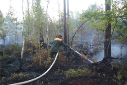 «Такого не было 20 лет». Как леса близ Бобруйска пережили наивысший класс пожарной опасности
