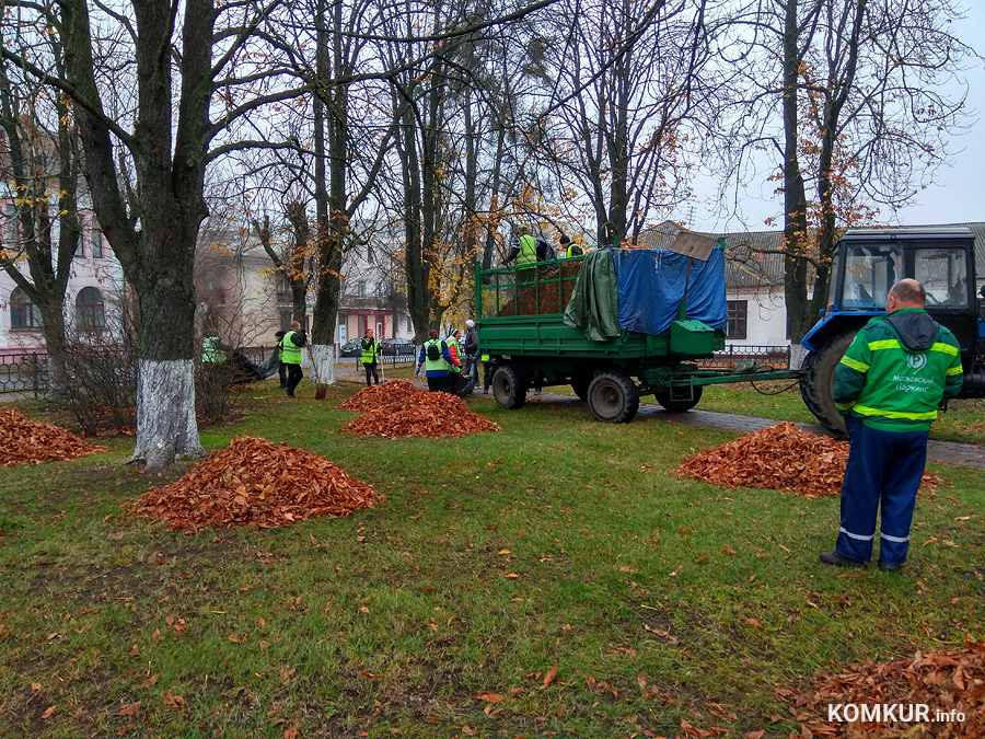 «Листву убирают, но не везде. Почему?» Есть ответ