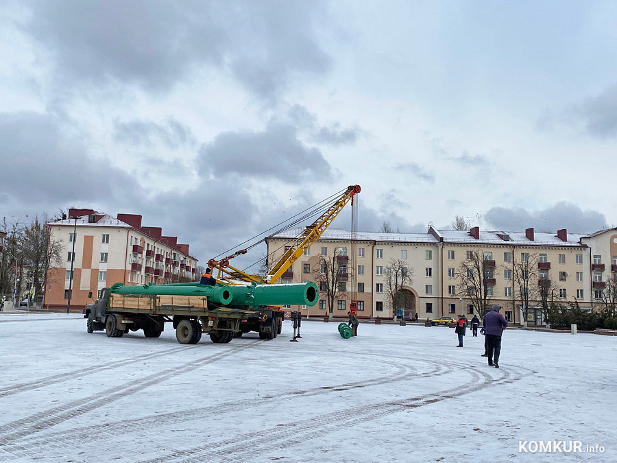 В Бобруйске с первым снегом начали готовить елку