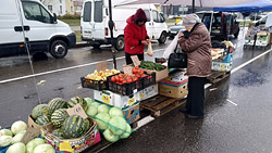 «Что не продам, то раздам…» В Бобруйске завершается сезон сельхозярмарок