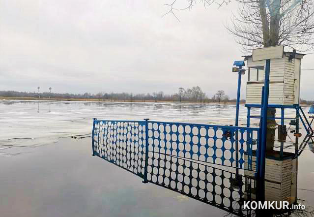 Березина в Бобруйске поднялась до критического уровня! Что и где уже затопило?