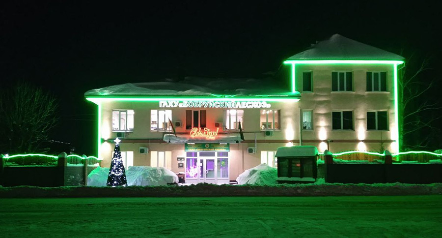 Бобруйский район сверкал: определили лучшее новогоднее оформление