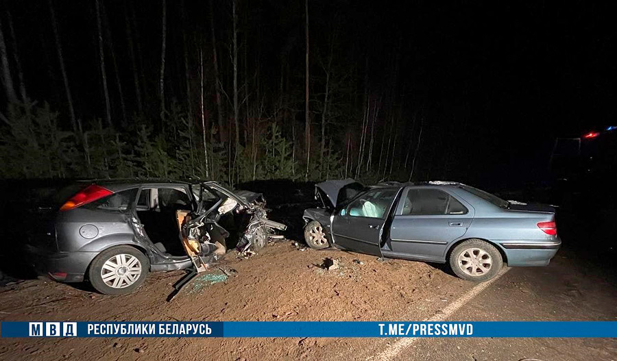 Дорожно-транспортное происшествие произошло около восьми вечера в пятницу, 27 января, на 31-м километре автодороги «Бобруйск-Мозырь».