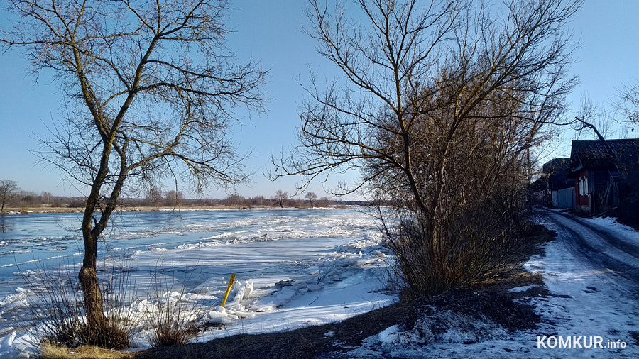 На Березине в районе Бобруйска начался ледоход. Какие сюрпризы готовит река?