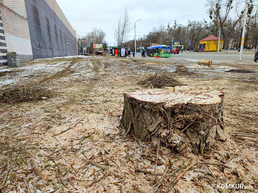 Что будет на улице Минской, где убрали деревья?