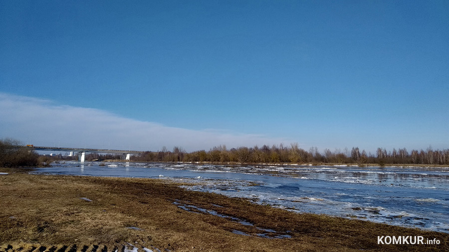 На Березине в районе Бобруйска начался ледоход. Какие сюрпризы готовит река?