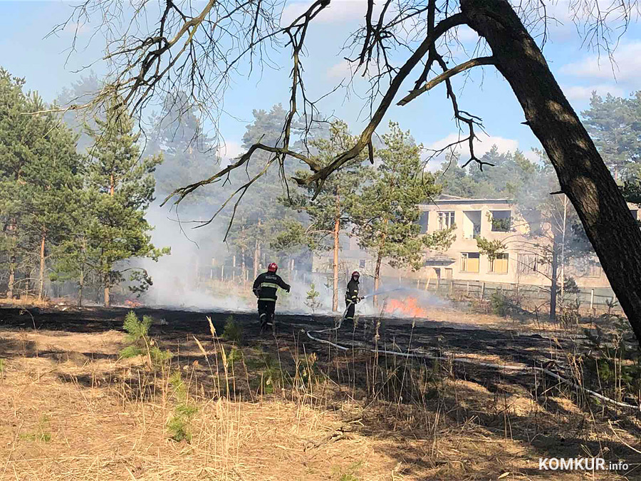 На территории бывшей войсковой части в Киселевичах в среду, 22 марта, работали сотрудники горрайотдела по ЧС. Здесь загорелась высушенная солнцем растительность.