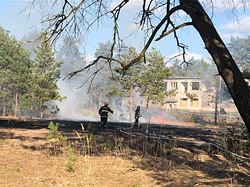 В черте Бобруйска сегодня тушили лесной пожар