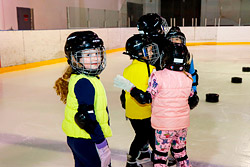 В школах появятся факультативы по хоккею