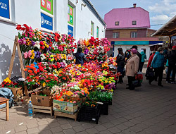 На Радуницу в Бобруйске будут раздавать бесплатно саженцы цветов
