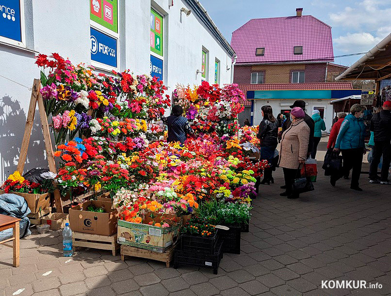 25 апреля в Бобруйске пройдет акция, направленная на снижение использования пластиковых цветов во время Дня поминовения усопших, сообщил сайт Бобруйского горисполкома.