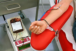 Установлены новые размеры выплат для доноров крови