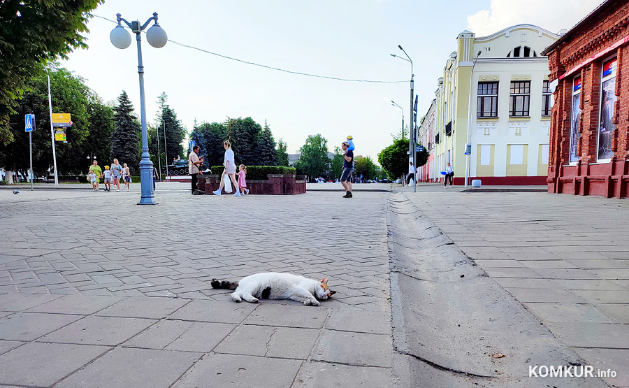 Общий гороскоп с 26 июня по 2 июля.
