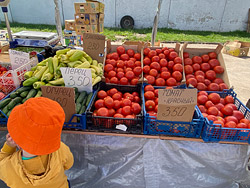 Смотрим сезонные цены на рынках Бобруйска. Самые южные фрукты и овощи на Северном рынке. 