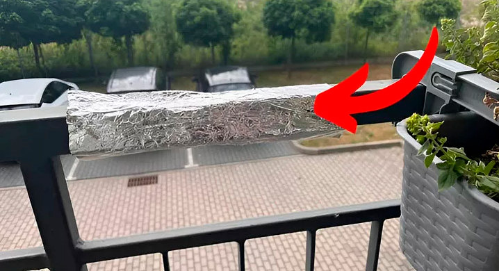 Зачем оборачивать фольгой перила на балконах? Это может избавить от серьезной проблемы