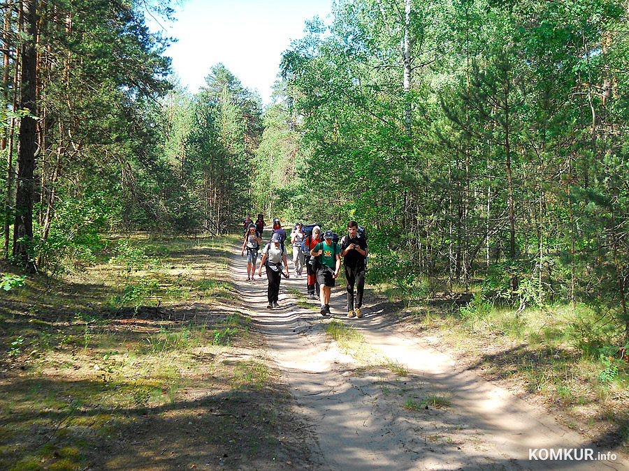 Бобруйчанам и жителям района, которые в грядущие выходные собирались на собственном транспорте поехать на охоту за лесными дарами или на природу с мангалом, планы придется менять.