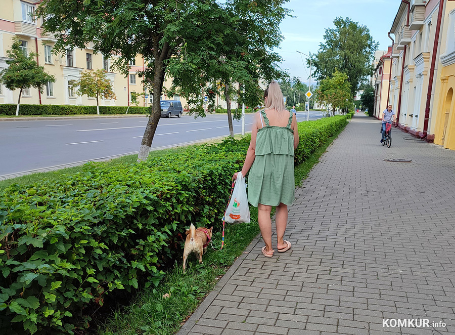 Изменились правила содержания домашних животных. Что нужно знать?