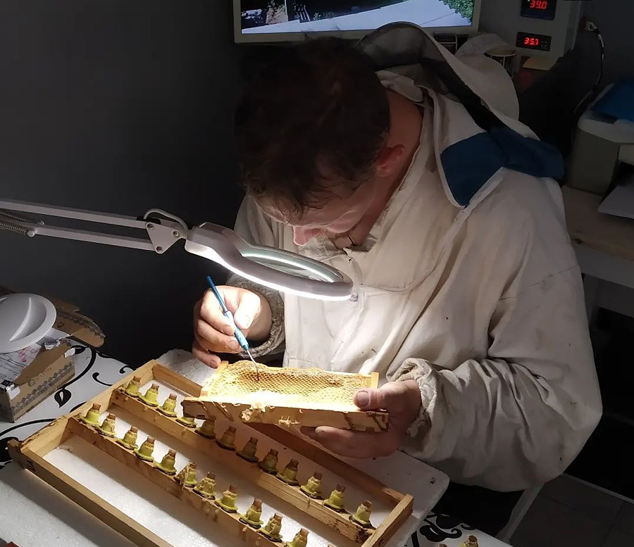 Продукт под микроскопом.