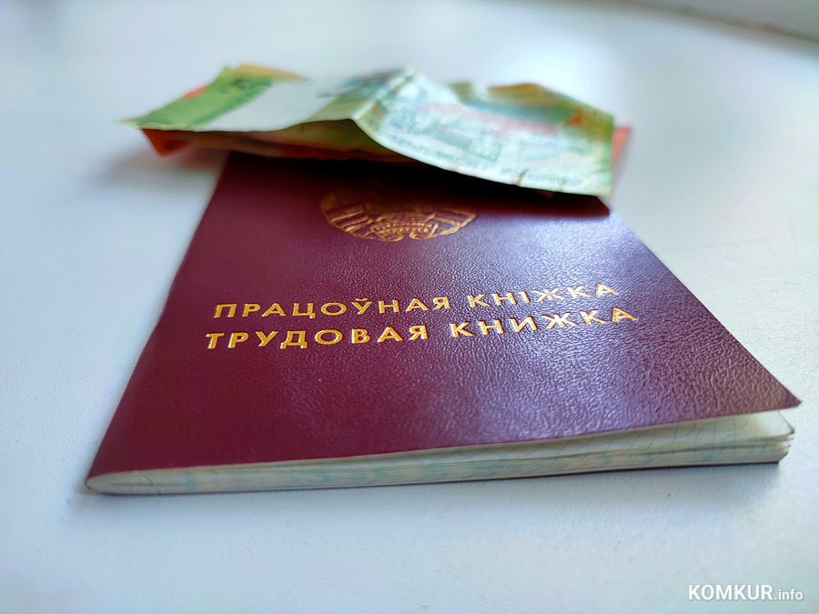 Недавно жительница Бобруйска отметила свое 20-летие, а в канун этого юбилея вместо подарка ей от имени государства предъявили счет. Девушка должна выплатить в областной бюджет больше 8500 рублей. За что, МогилевОнлайн узнал из опубликованных в Банке судебных решений материалов гражданского дела.