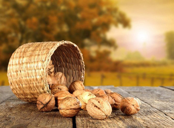 Третий Спас отмечается каждый год 29 августа. Наши предки в этот день пекли хлеб, собирали поспевшие орехи и торговали на ярмарках льняным полотном.