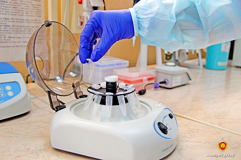 В управлении Государственного комитета судебных экспертиз по Могилевской области в текущем году проведено уже более 100 генетических экспертиз спорного родства. Такие экспертизы проводятся как по заявлениям граждан (в основном заявители – это предполагаемые отцы и матери), так и по постановлениям органов внутренних дел, следствия, определениям судов по делам о взыскании алиментов, установлении или исключении отцовства, получении пособия по потере кормильца, вступлении в наследство.