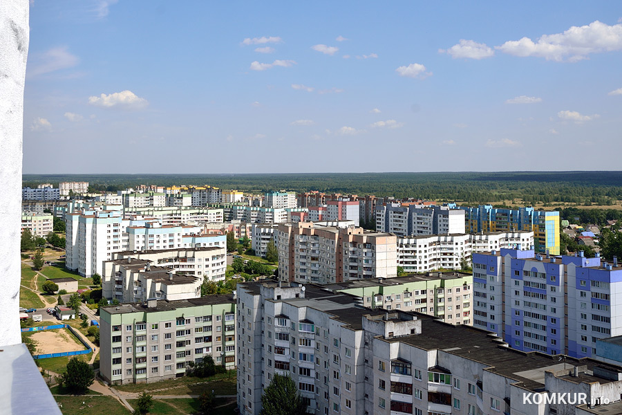 Покупка недвижимости – крупная сделка. Если ошибиться с выбором квартиры, то можно получить в придачу к квадратным метам уйму проблем. Как грамотно выбрать жилье на вторичном рынке и определить масштаб возможного ремонта?