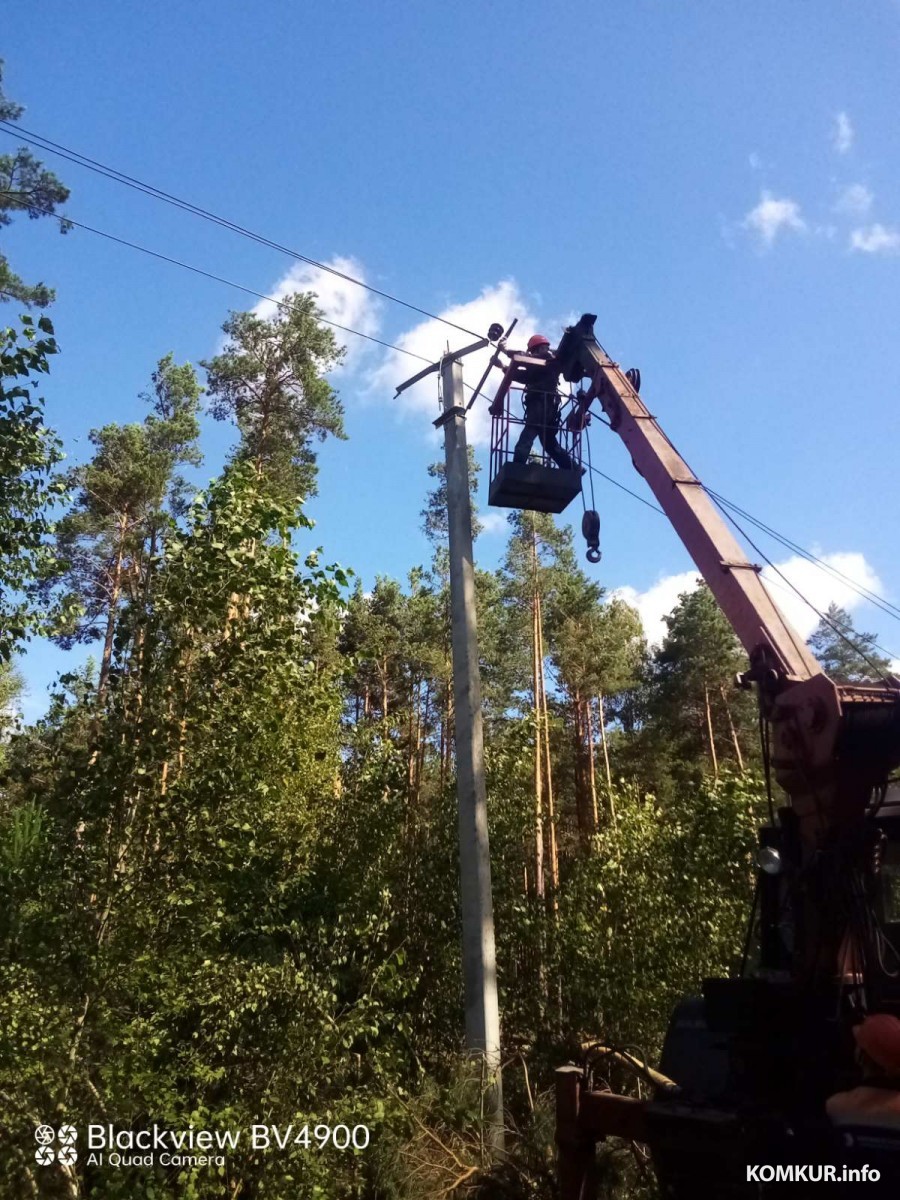 Ветки – прочь! Где в Бобруйске не будет света с 8 по 11 ноября