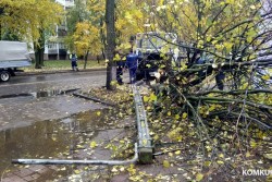 Порваны провода, упали дерево и фонарь. ДТП на оживленной улице Бобруйска (видео)