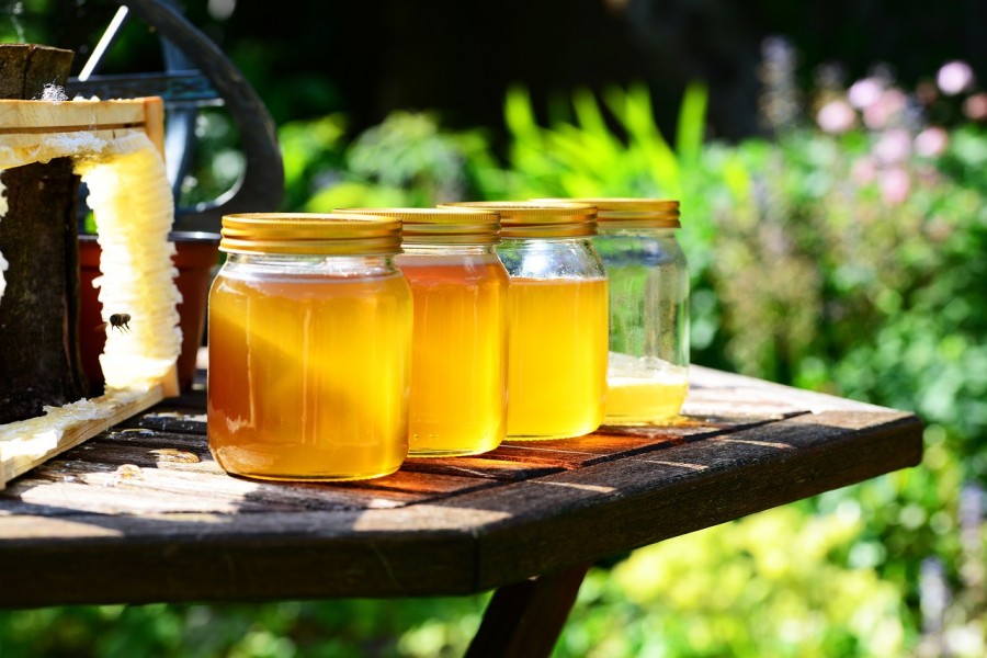 Зачем нужно смешивать мед с уксусом: странный, но полезный лайфхак