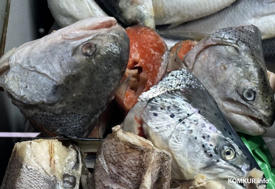 На каждый товар есть свой купец. Могилев, рыбный павильон на Центральном рынке, август 2023 года.